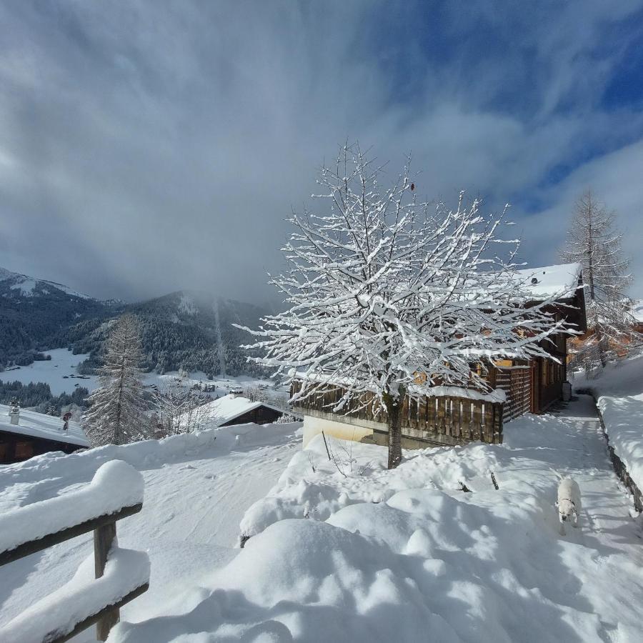 Chambre D'Hotes L'Ours Bleu Les Diablerets Exteriör bild