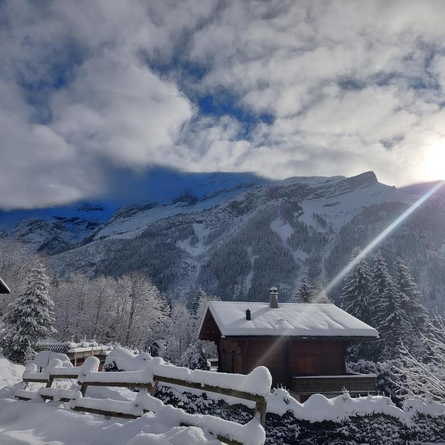 Chambre D'Hotes L'Ours Bleu Les Diablerets Exteriör bild